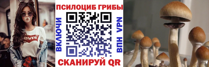 Галлюциногенные грибы Cubensis  Купить где  Жиздра 
